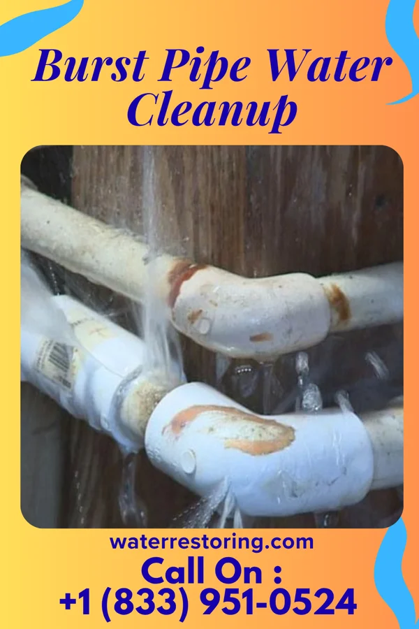 Burst Pipe Water Cleanup in McSherrystown, PA
