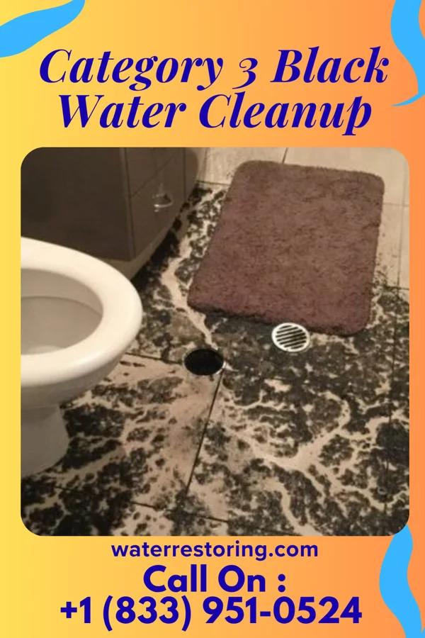 Category 3 Black Water Cleanup in McSherrystown, PA
