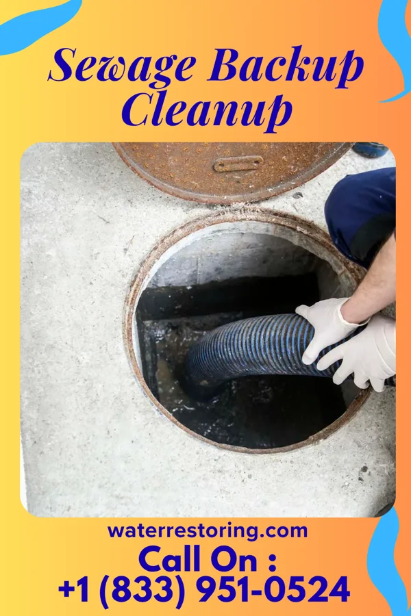 Sewage Backup Cleanup in McSherrystown, PA
